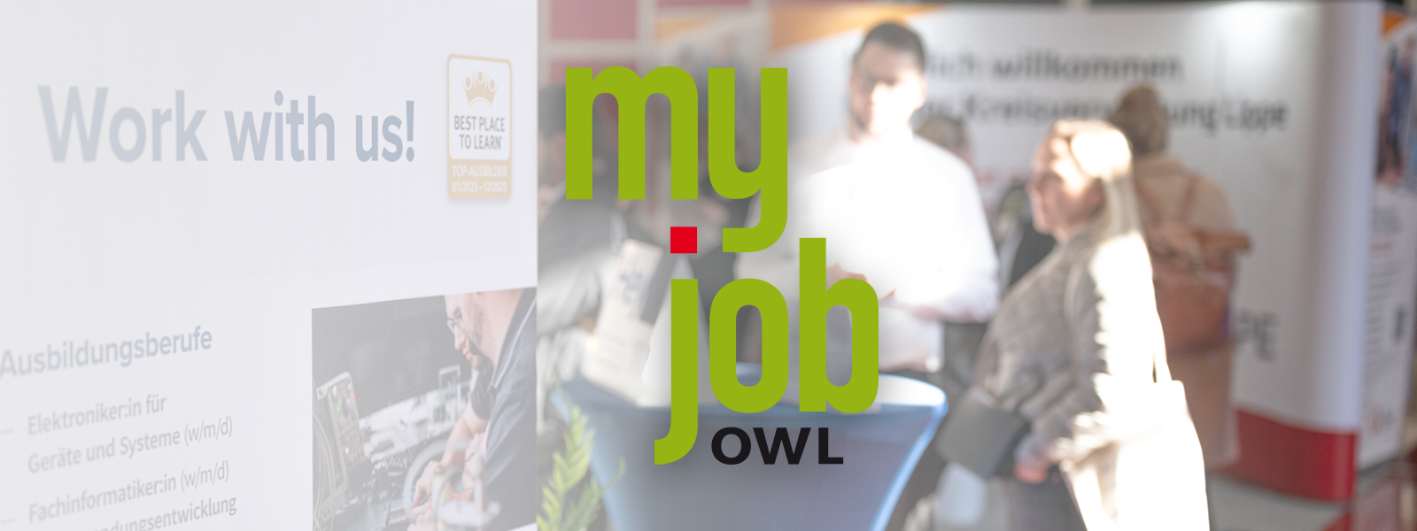 my job OWL